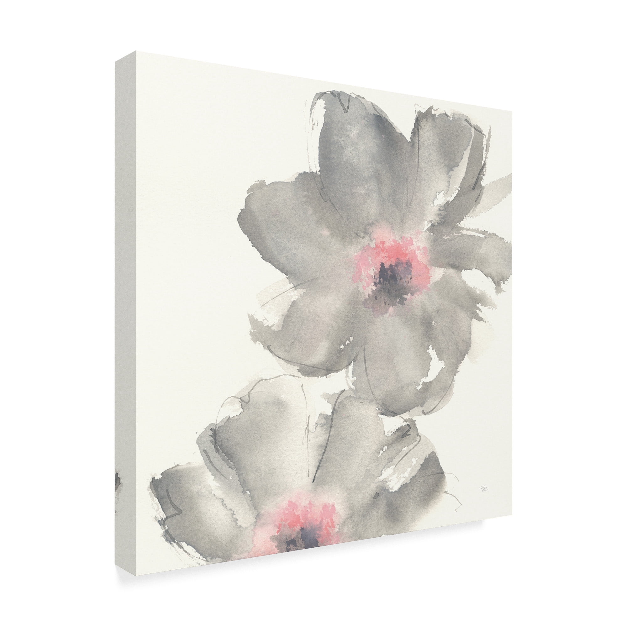 Trademark Fine Art 'Gray Blush Cosmos II on White' Canvas Art by Chris Paschke