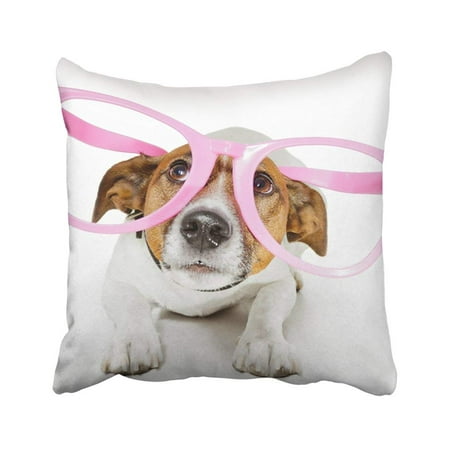 BPBOP Pink Pet Dog With Funny Glasses Purple Costume Animal Breed Cute Fun Canine Happy Pillowcase Cover 16x16 inch
