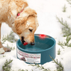 NAMSAN Dog Heated Water Bowl- Pet Water Heating Bowl for Cats Dogs Outdoor Winter Dog Bowl, 68OZ