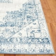 thumbnail image 3 of SAFAVIEH Layla Salem Oriental Runner Rug, Ivory Grey/Blue, 2'2" x 9', 3 of 7