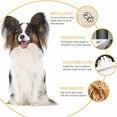 thumbnail image 4 of Cordless Dog Clipper Kits Dog Grooming Clippers Pet Hair Trimmer With 4 Combs, 4 of 8