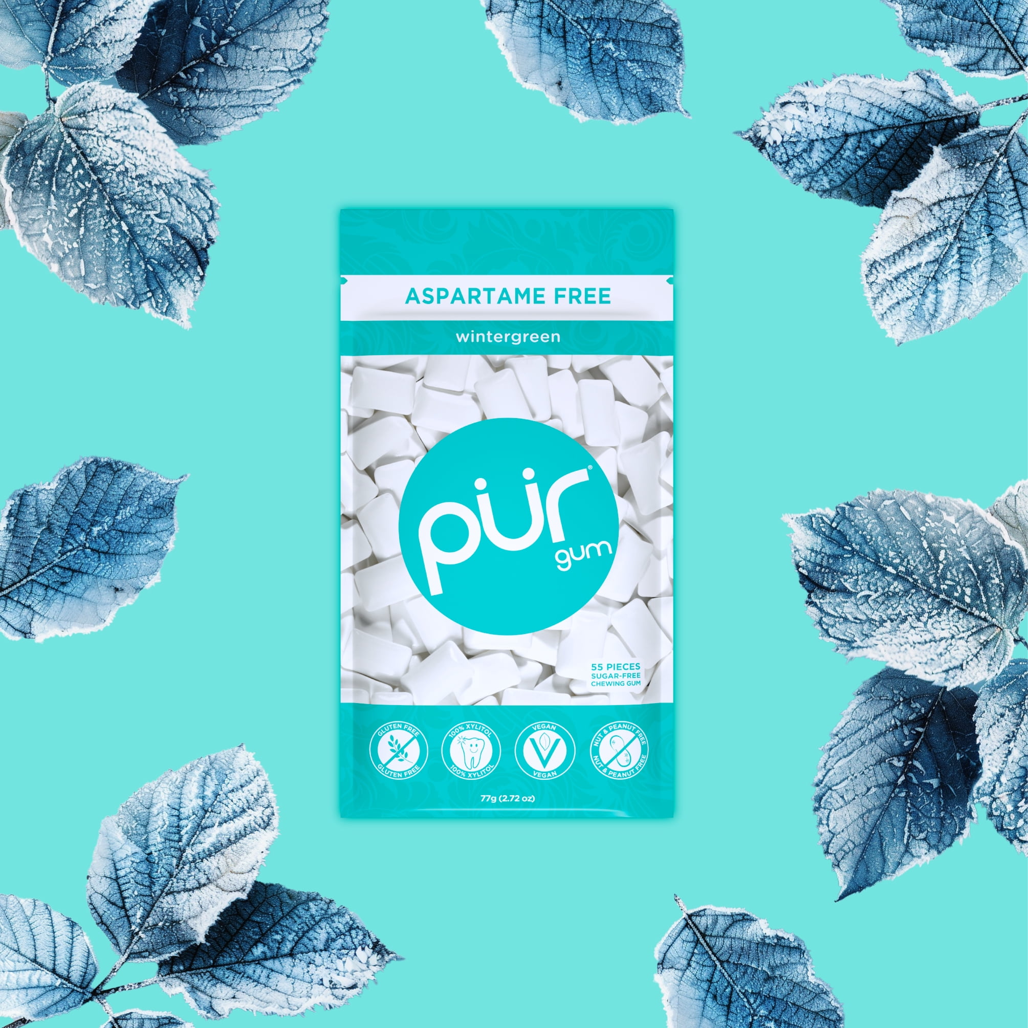 PUR Gum, Wintergreen, Aspartame Free, Sugar Free & 100% Xylitol Chewing Gum, 55 Pieces, Pack of 12