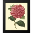 thumbnail image 2 of Verschaffelt 12x14 Black Modern Framed Museum Art Print Titled - Camellia Garden I, 2 of 5