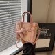 thumbnail image 2 of Bolsos de moda de nicho francés para mujer, nuevos bolsos de mensajero texturizados de alta calidad 2025, bolsos tipo cubo casuales y versátiles., 2 of 5