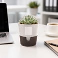 thumbnail image 7 of Leodye 1PCS Water Absorbent Root Control Plant Pot Detachable Plastic Planter Simple Design Cultivation Container for Pothos Indoor Green Plant Growing -4.92x4.92in, 7 of 7