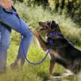 thumbnail image 4 of Taglory Rope Dog Leash with Comfortable Padded Handle, 5ft Reflective Dog Leash, Navyblue, 4 of 7