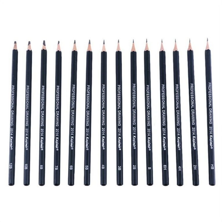 Dyvicl Professional Drawing Sketching Pencil Set - 12 Pieces Drawing Pencils 10B, 8B, 6B, 5B, 4B, 3B, 2B, B, HB, 2H, 4H, 6H Graphite Pencils for