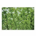 thumbnail image 1 of Leaves Cutting Board, Close-up Tree Leaves from an Uprising Angle High Plants Summer Fresh Environment Habitat, Decorative Tempered Glass Cutting and Serving Board, Small Size, Green, by Ambesonne, 1 of 1