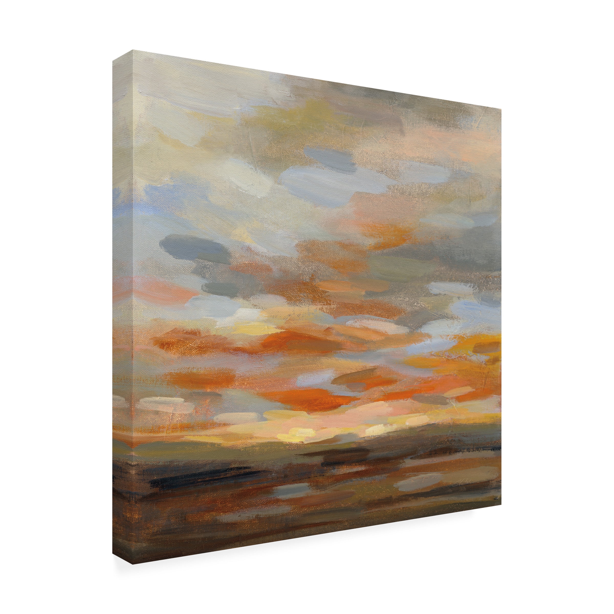 Trademark Fine Art 'High Desert Sky II' Canvas Art by Silvia Vassileva