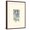 Brown Frame, variant on Art.com Chickadee in White Pine Art Print by Janet Mandel, 12" x 16"