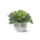thumbnail image 1 of Pequeñas plantas de plástico artificiales Set Mini flores de imitación en maceta y hojas verdes UHUSE  plantas artificiales, 1 of 11