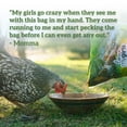 thumbnail image 6 of Love My Girls Veggies & Worms Gourmet Multi-Grain Chicken Treats, 5 lb. Bag, 1-Pack, 6 of 7