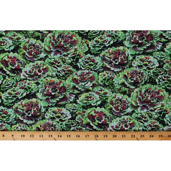 Cotton Lettuce Kale Vegetables Food Kitchen Farmer John Organics Kale Cotton Fabric Print by the Yard (120-0471)
