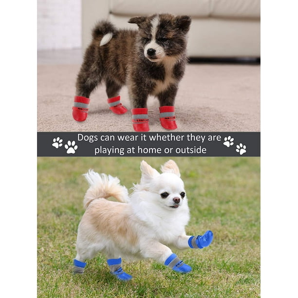 Dog booties top for hardwood floors
