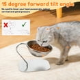thumbnail image 4 of Austok Elevated Cat Bowls 15 Degree Inclined Stainless Steel Cat Bowls Detachable Metal Bracket Ergonomic Design for Healthy Eating Digestion, 4 of 9