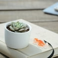 thumbnail image 1 of unbranded 10Ud Miniaturas De Ardilla En Resina Para Exterior E Interior Con Encantador, 1 of 7