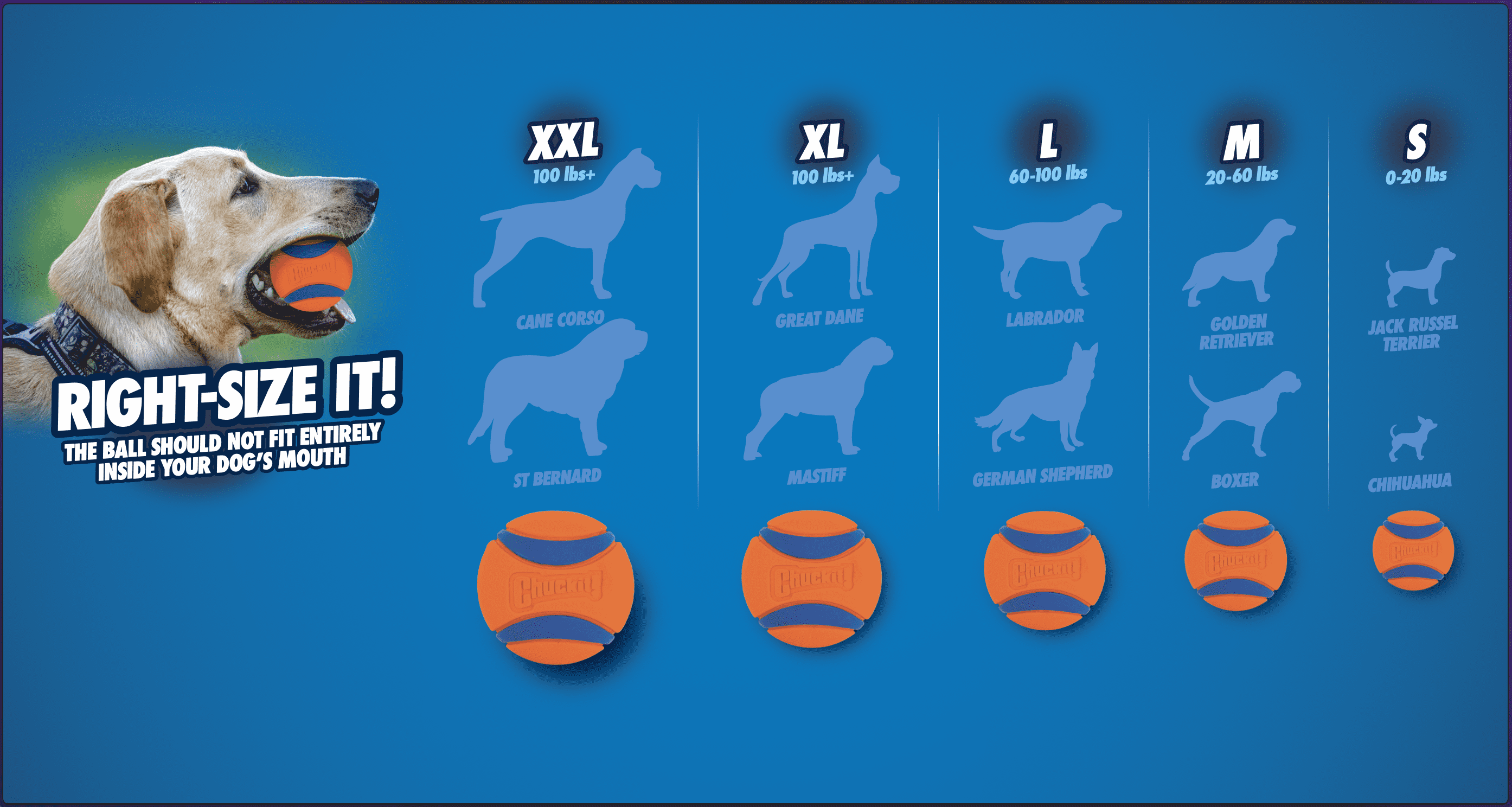 Chuckit! High Bounce Ball Rubber Fetch Dog Toy, Medium 2.5" for Dogs 20 to 60 lb, Pack of 1, Assorted