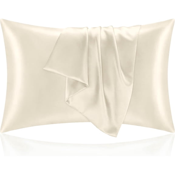 2 Pack Pillowcase, Both Sides Mulberry Silk Pillowcases,with Zipper, Cooling Pillowcase,Soft Breathable Smooth Pillow Cover - Queen, Beige