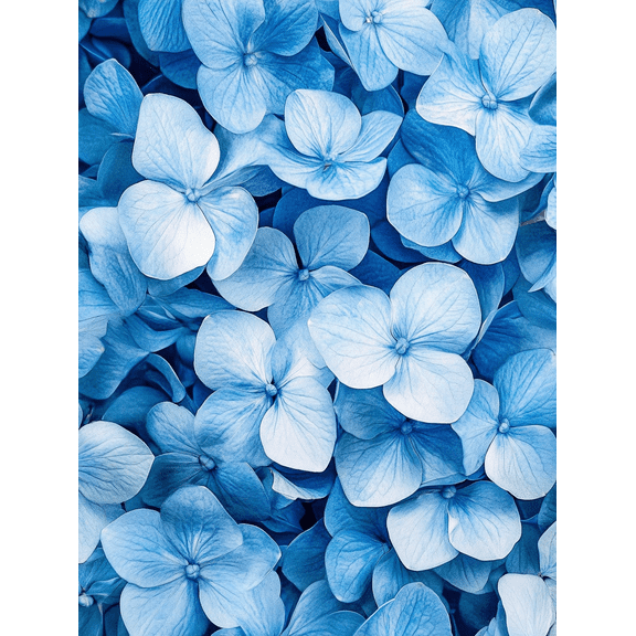 Blue Hydrangea Flower Canvas Wall Art PrintPerfect for Living RoomBedroomBathroomOfficeand Dinning Room Decoration.
