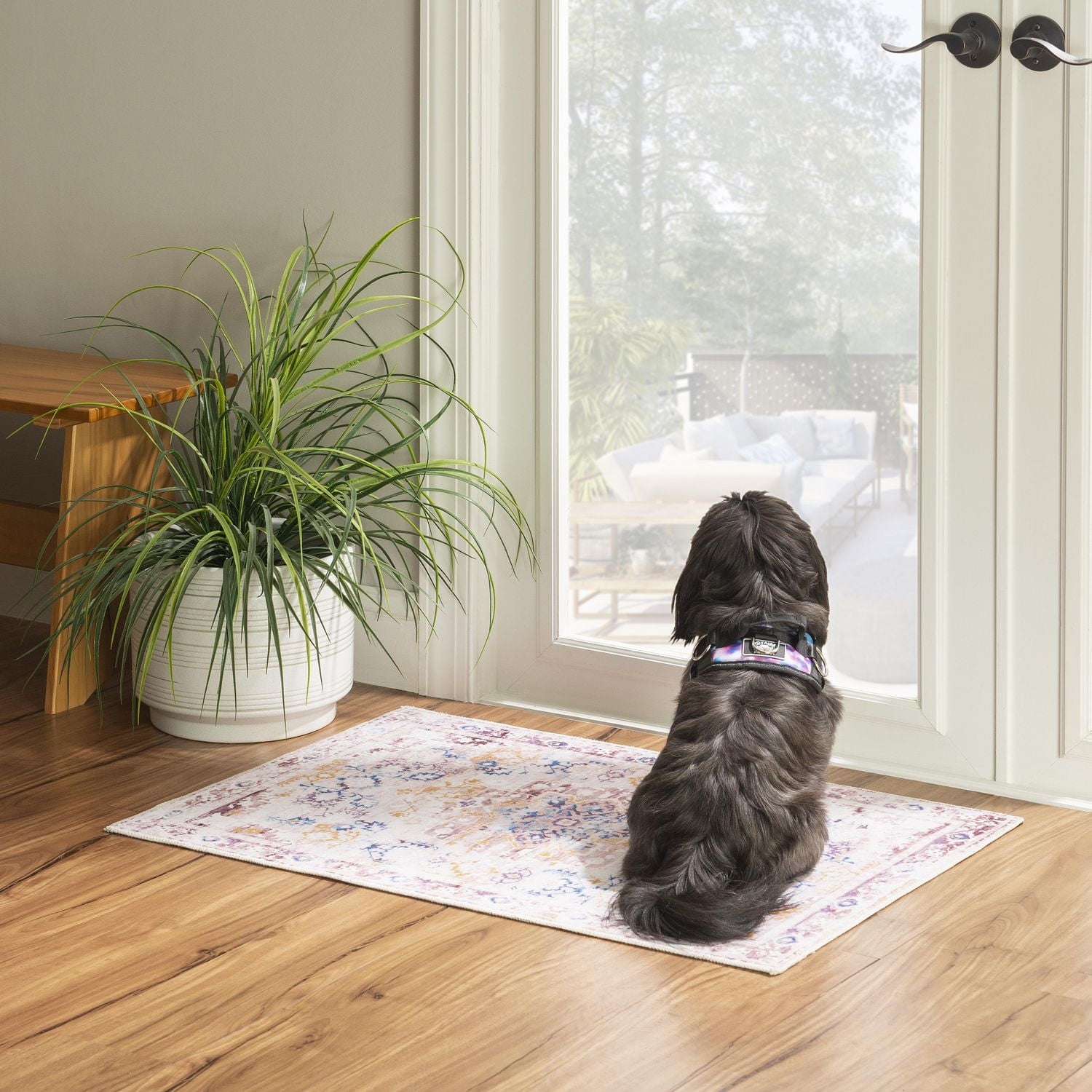 Tapis d'appoint lavable Micah 2 pi x 3 pi ivoire et or