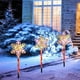 thumbnail image 5 of pstuiky Luces solares navideñas con forma de estrella|árbol de Navidad y copo de nieve. Múltiples modos de iluminación. Luces solares de suelo para decoración navideña exterior, 5 of 7