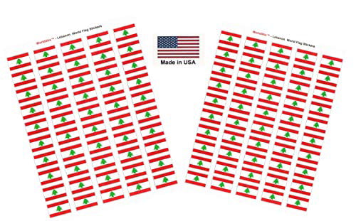 100 International Sticker Decal Flags Total Two Sheets of 50 Poland Without Eagle Made in USA 100 Country Flag 1.5 x 1 Self Adhesive World Flag Scrapbook Stickers 