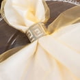 thumbnail image 3 of Balsa Circle 10 Gold Decorative 23" x 23" Sheer Organza Dinner Table Napkins Party Decorations, 3 of 8