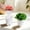 Extra Small, variant on 10 Pack 2.95" Indoor Self Watering Planters with Drainage Holes and Saucers Clear Inner Cup Cotton Rope Small White Plastic Planters Indicator for Soil Starting Seedling Herb African Violet