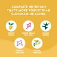 thumbnail image 3 of Happy Go Healthy Hip & Joint Supplements for Dogs | Probiotic & Prebiotic Benefits with Wild Salmon Omega 3s to Help Your Dog Reach New Heights | All Breeds and Sizes | 120 Count, 3 of 6