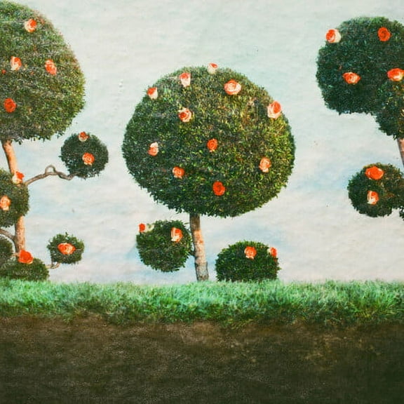 Midnight Sister - Painting the Roses - Music & Performance - Vinyl