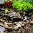 thumbnail image 3 of Paquete de 4 mini adornos de tortuga de simulación, adorno de maceta de plantas suculentas de jardín de hadas realista, 3 of 5