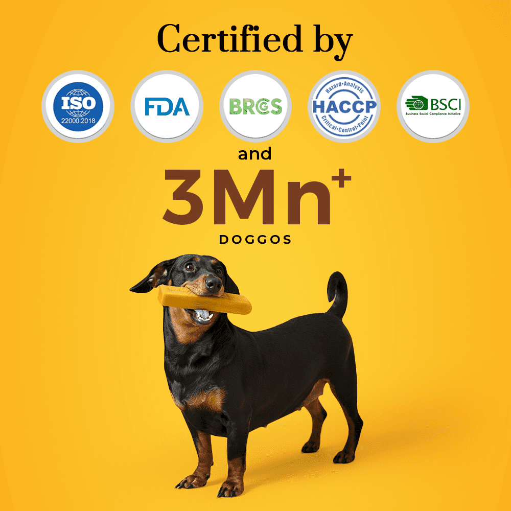 Dogsee FBA-DC-TL-1P Himalayan Yak Chews Turmeric Long Lasting Dental Dog Chews - Large