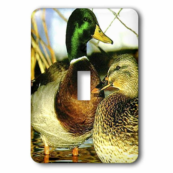 3dRose, Mallard Duck, single toggle switch