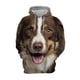 thumbnail image 4 of Sudadera con capucha con estampado 3D de linda mascota para hombres y mujeres, sudaderas con estampado de perro divertido, jersey de moda Harajuku para niños, jersey de calle holgado de manga larga, 4 of 5