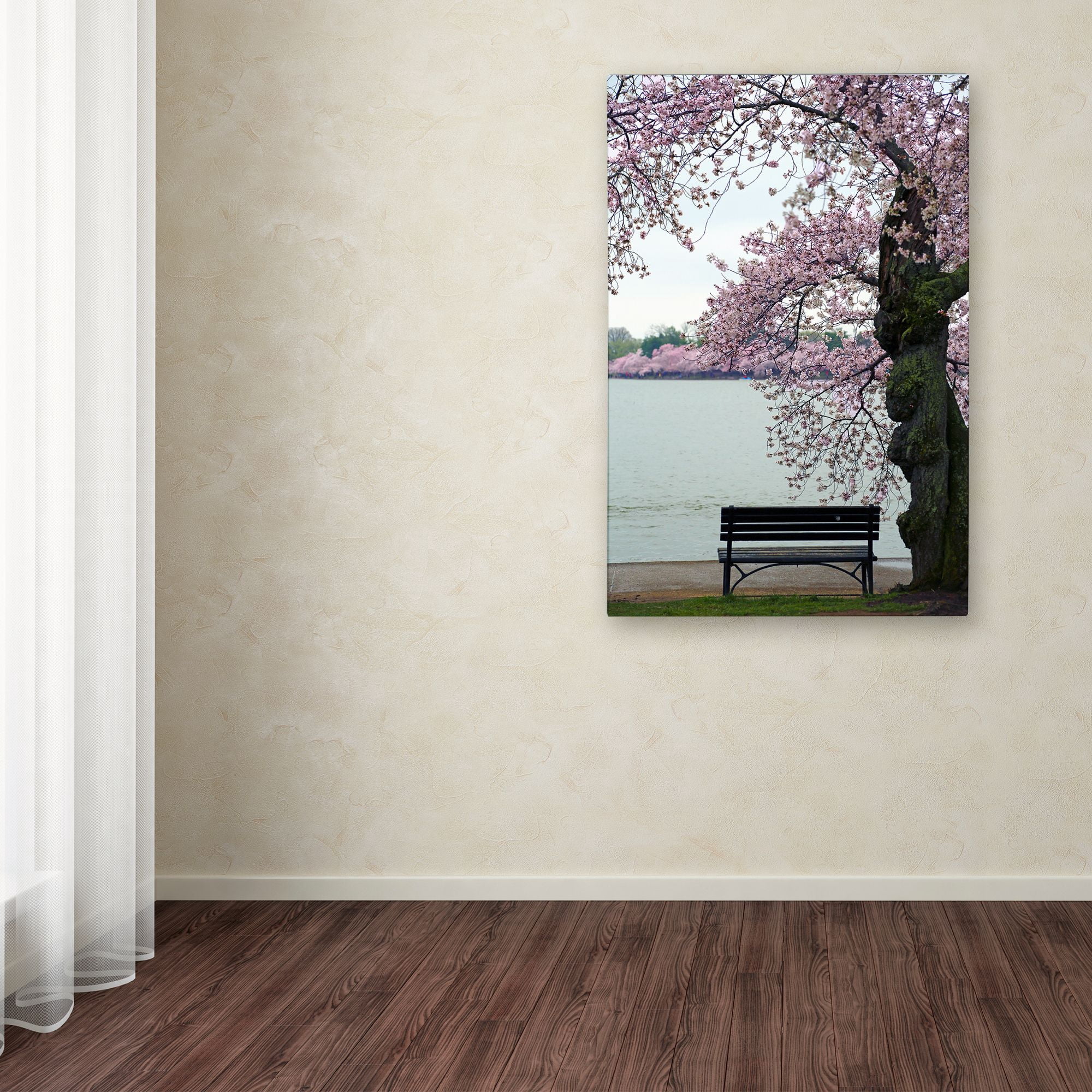 Trademark Fine Art "Tranquility" Canvas Art by CATeyes