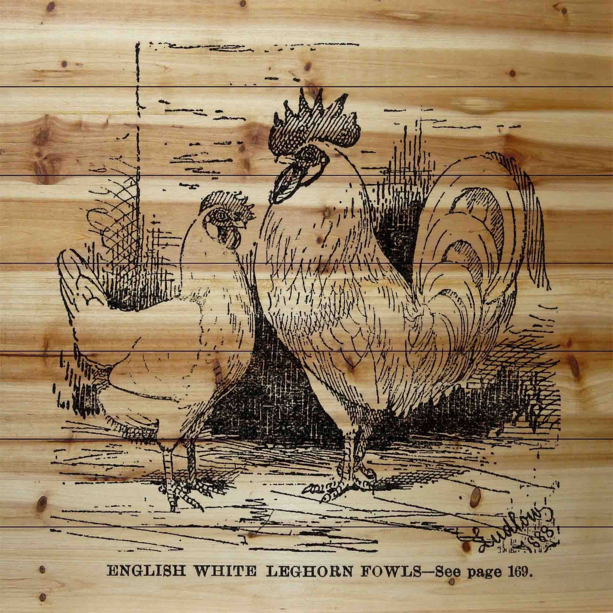 "White Leghorn" Painting Print on Natural Pine Wood