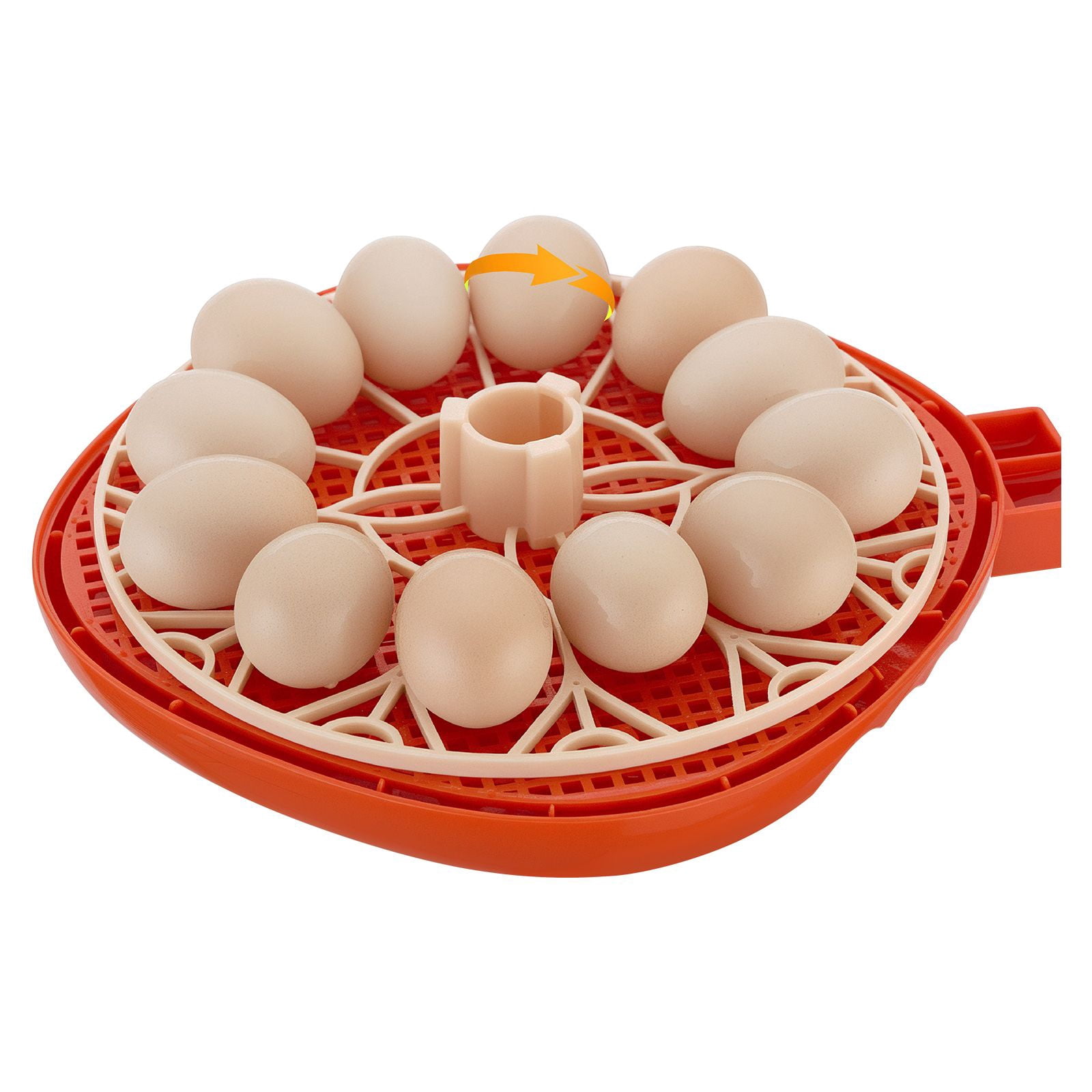 Egg Incubator 12 Eggs Automatic Turner with LED Candler Temperature Humidity Control 360° View Window for Hatching Chicks