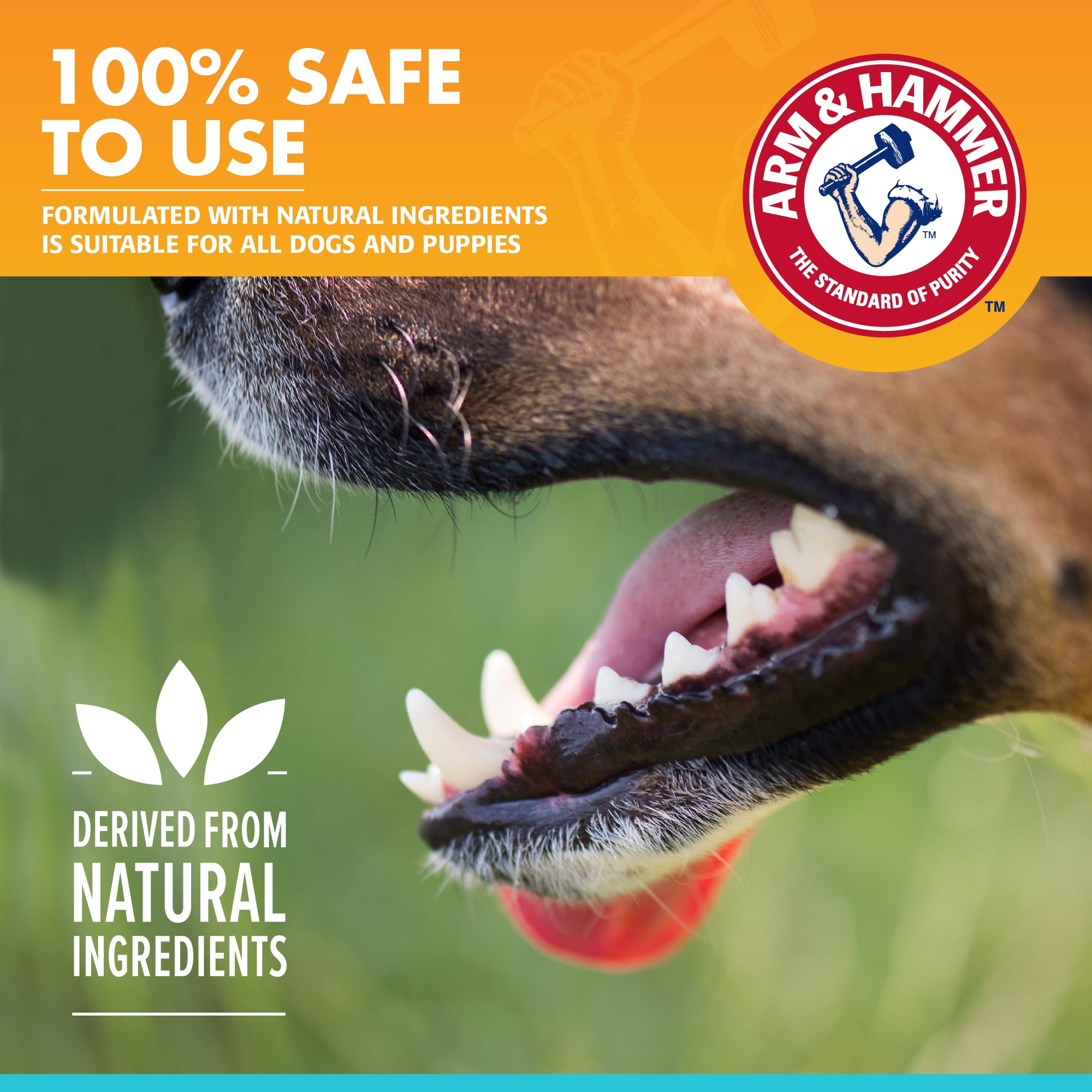 Arm & Hammer for Pets Dental Fresh Breath Enzymatic Toothpaste for Dogs and Puppies Chicken Flavor 2.5 oz