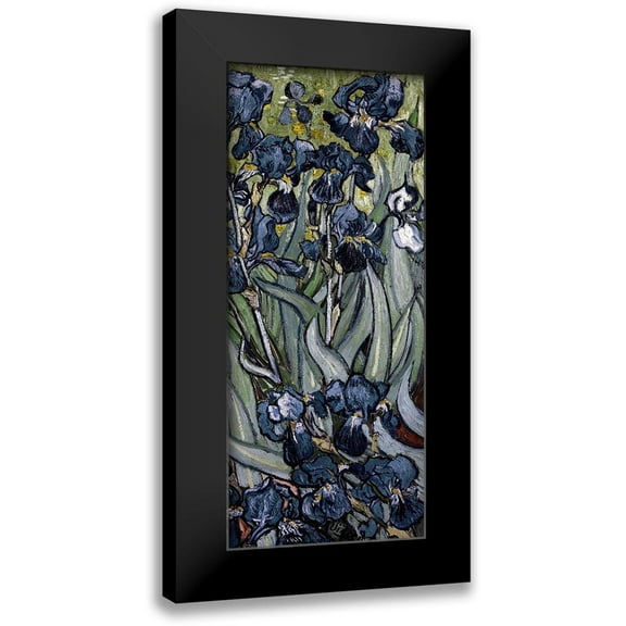 Van Gogh, Vincent 8x14 Black Modern Framed Museum Art Print Titled - Irises (right)