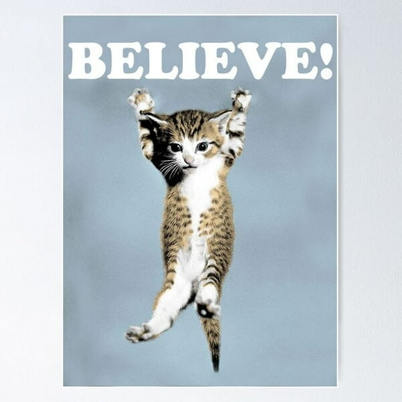 A NEW Believe Cat Poster Poster