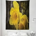 thumbnail image 1 of Dutch Tapestry, Image of Trumpet Daffodil Flower Known as Dutch Master Photo Print, Fabric Wall Hanging Decor for Bedroom Living Room Dorm, 5 Sizes, Dark Cocoa Earth Yellow, by Ambesonne, 1 of 1