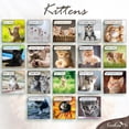 thumbnail image 2 of EcoEarth 18-Month Vertical Wall Calendar, Adorable Kittens, 11" x 22", 2026 - 2027 Calendar, 2 of 6