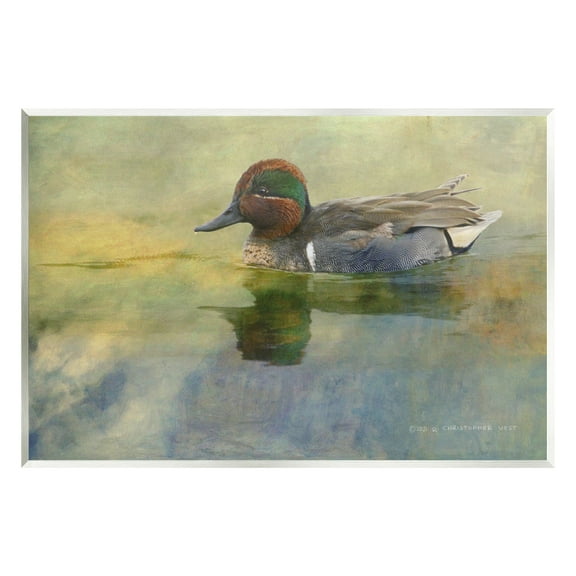 Stupell Wild Duck Nature Pond Wildlife Animals & Insects Photography Wall Plaque Unframed Art Print Wall Art