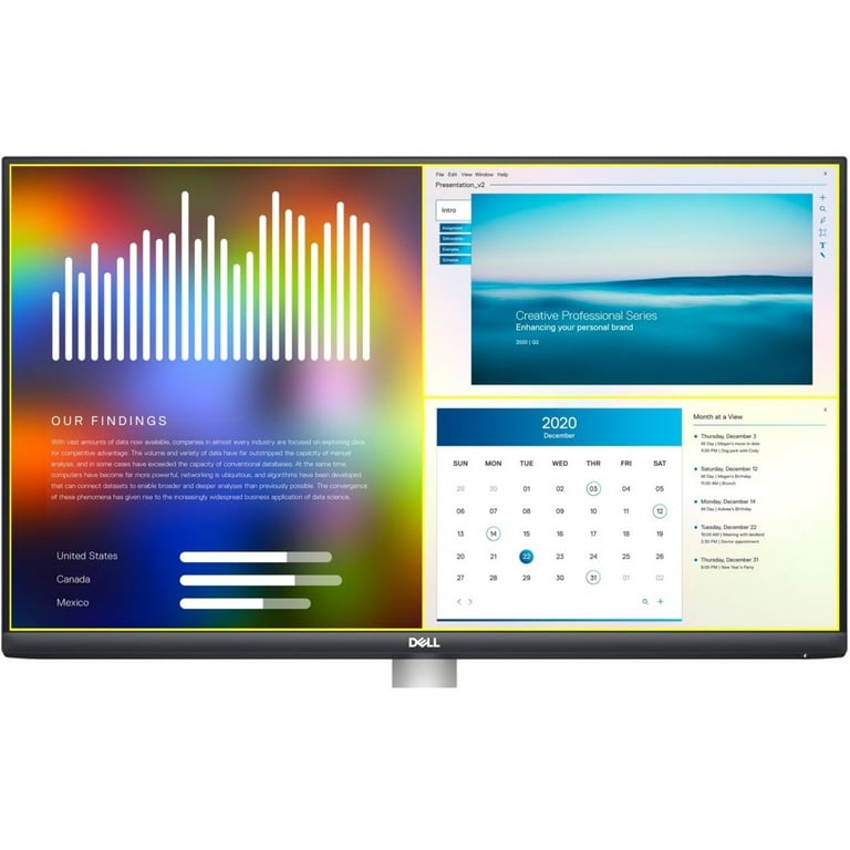 Dell 24