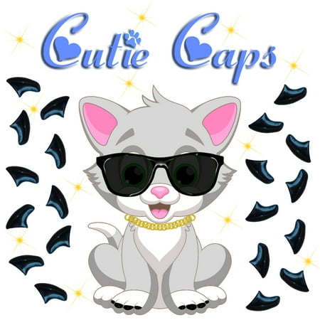 Cutie Caps 40 pack Large Midnight Black Soft Nail Guard for Cat Paws / Claws
