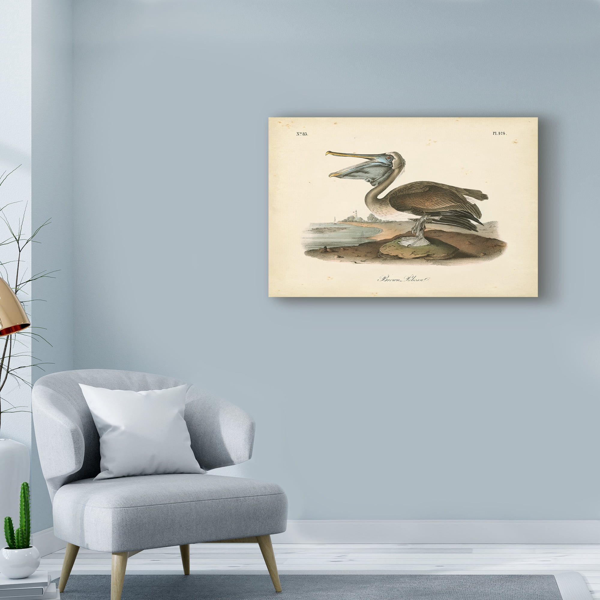 Trademark Fine Art 'Audubons Brown Pelican' Canvas Art by John James Audubon