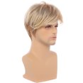 thumbnail image 1 of Pelucas Hombres Peluca Rubia Pelucas Sintéticas Naturales De Capas Cortas Resistentes Al Calor Peluca De Disfraz De Cosplay Con Gorro De Peluca, 1 of 5