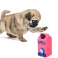 thumbnail image 1 of Dog Chew Toy Creative Juice Bottle Interactive Pet Bite Toy Pet Sound Toy, 1 of 9