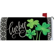 Custom Decor Mailbox Makeover - Lucky Clovers