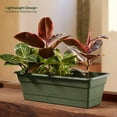 thumbnail image 3 of Bloem 18-in Wide Dura Cotta Resin Window Box Planter - Living Green, 3 of 6